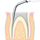 Endodontics/E7D -varios